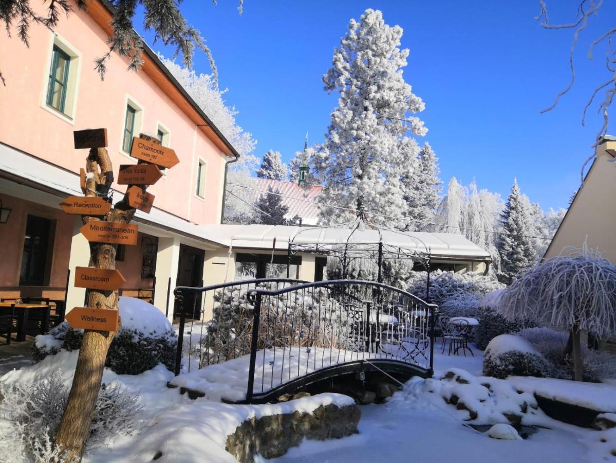 Hotel Via Ironia Vysoké Mýto Kültér fotó