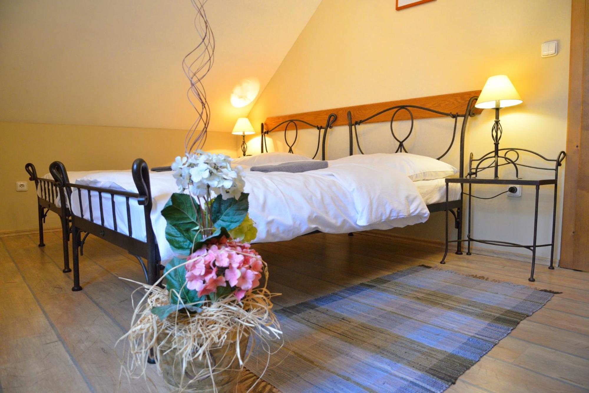 Hotel Via Ironia Vysoké Mýto Kültér fotó